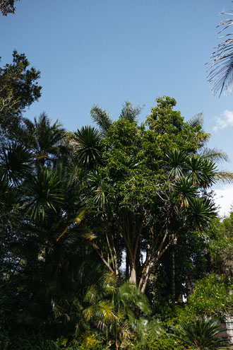 Sandalwood Lodge — rooms, gardens and facilities, photograph 16