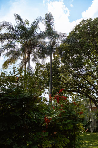 Sandalwood Lodge — rooms, gardens and facilities, photograph 18