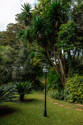 Sandalwood Lodge — rooms, gardens and facilities, photograph 37